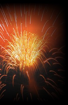 {short description of image}